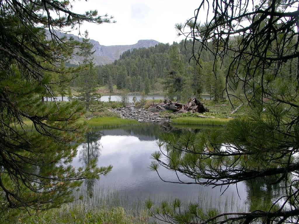 Природа в Каракольские озёра, Россия. Фото 9 – фотографии России