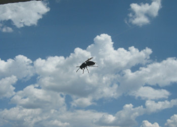 лето – фотографии России