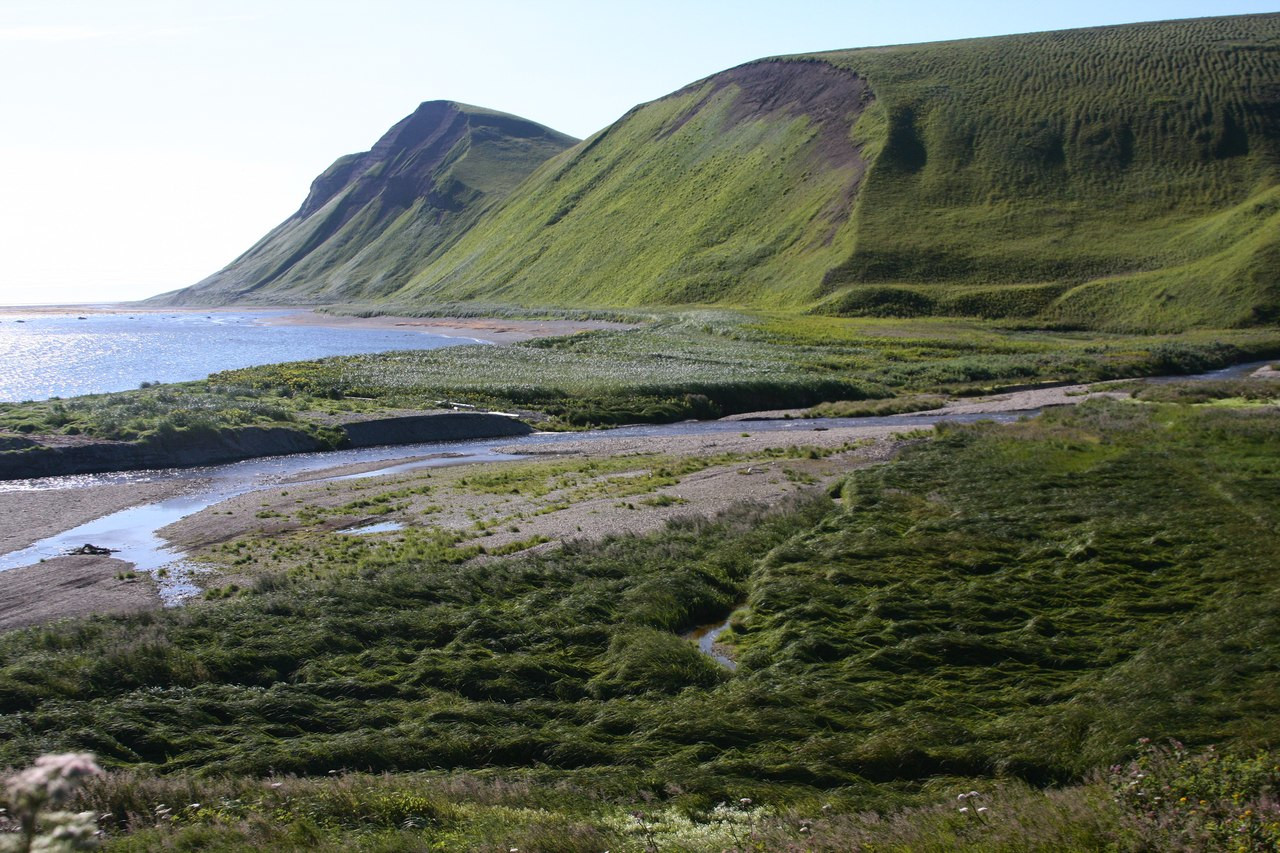 Командорский заповедник. Фото 6 – фотографии России