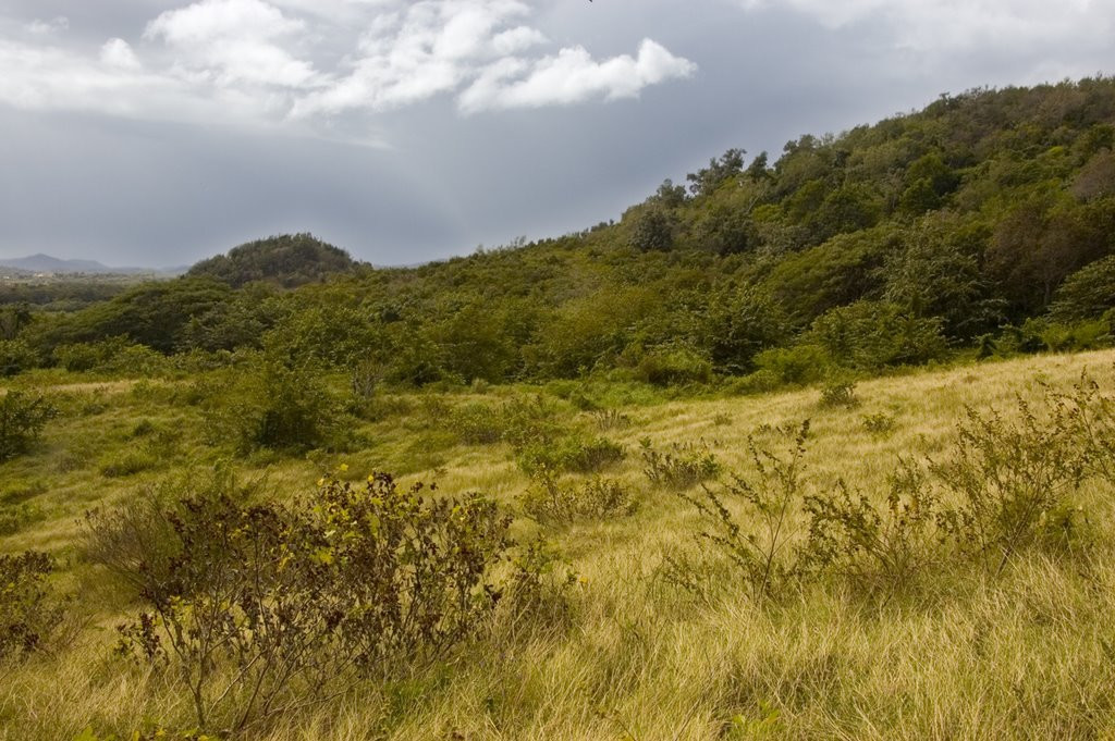 Природа в Ольгин провинция, Куба – фотографии Кубы