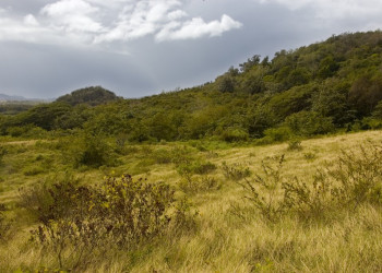 Природа в Ольгин провинция, Куба – фотографии Кубы