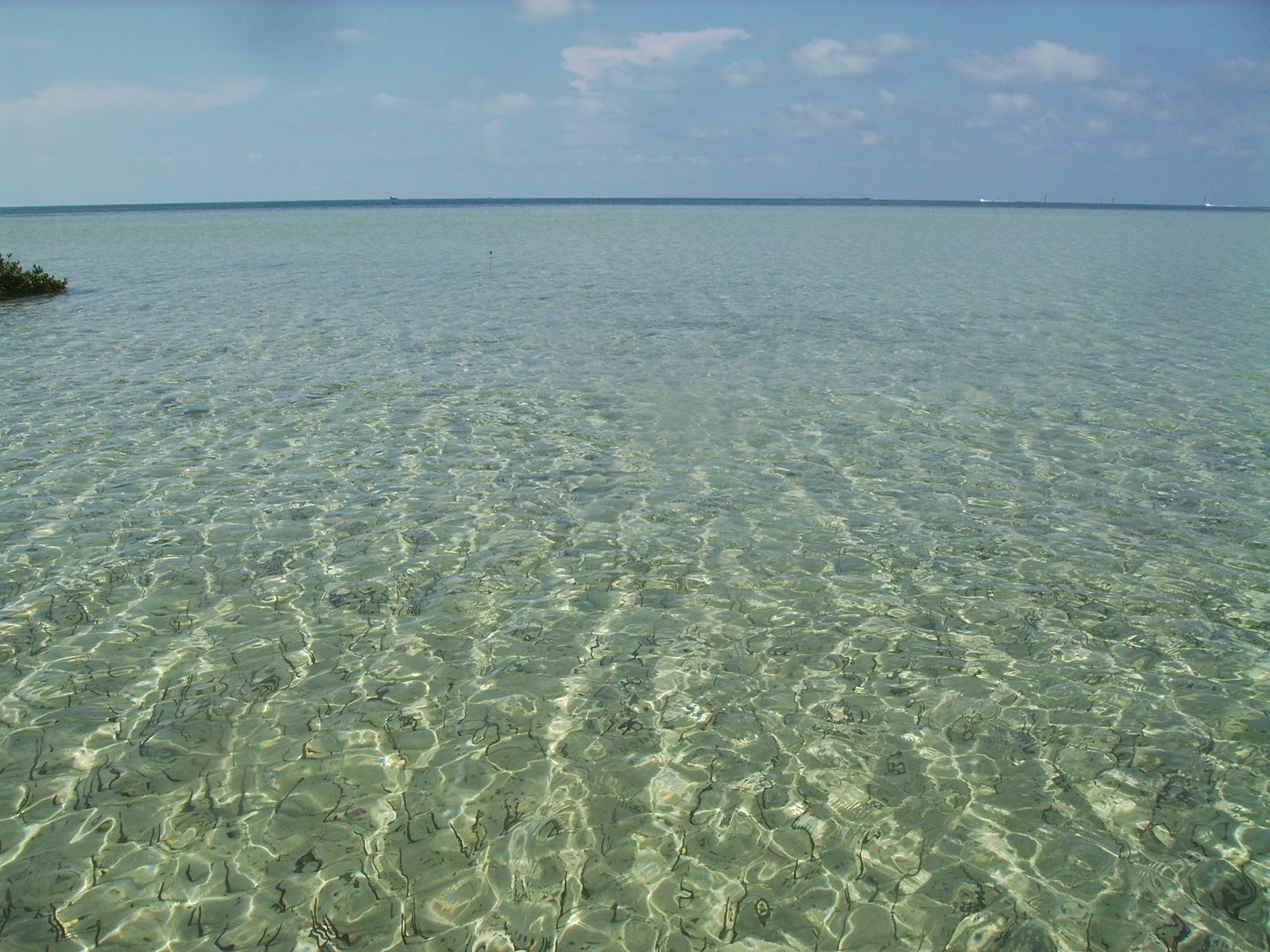 Море на острове Бимини, Багамские острова. Фото 11 – фотографии Багамских островов