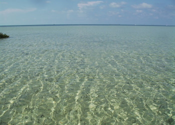 Море на острове Бимини, Багамские острова. Фото 11 – фотографии Багамских островов