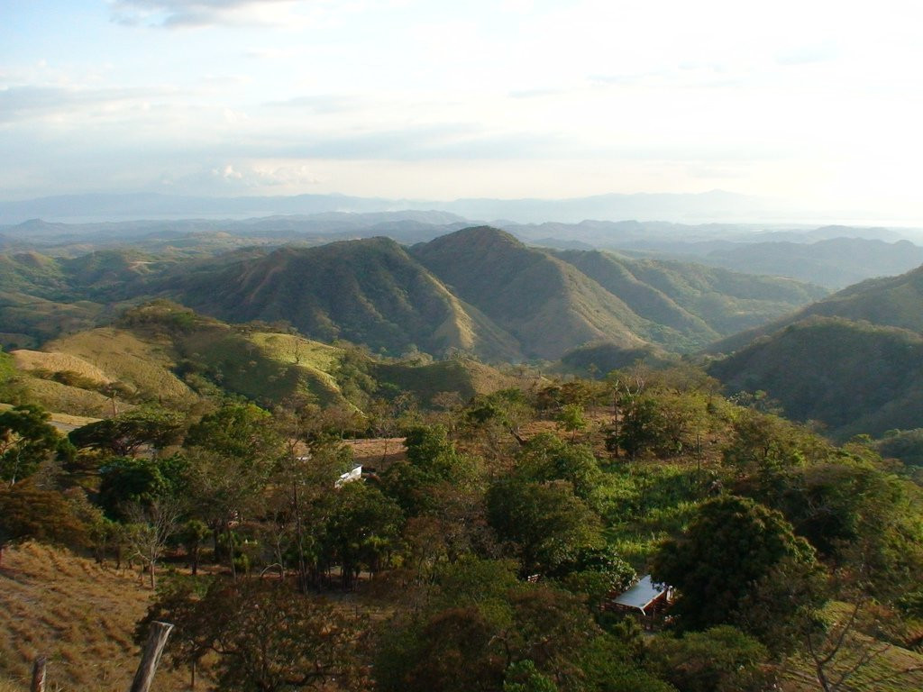 Монтеверде, Пунтаренас провинция, Коста-Рика, фото № 40730 – фотографии Коста-Рики