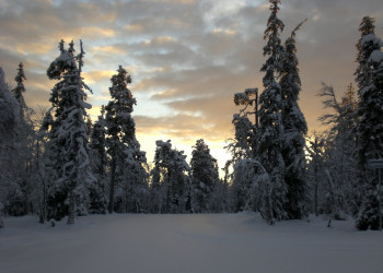 Луосто, Финляндия, фото № 74675 – фотографии Финляндии