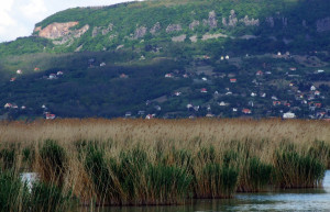 Сиглигет, Балатон озеро, Венгрия, фото № 69892 – фотографии Венгрии