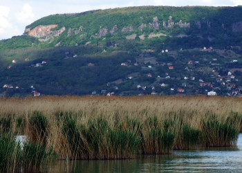 Сиглигет, Балатон озеро, Венгрия, фото № 69892 – фотографии Венгрии