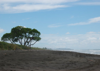 Плайя Эрмос, Пунтаренас провинция, Коста-Рика, фото № 40998 – фотографии Коста-Рики