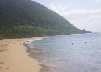 Гваделупа, фото № 3601 – фотографии Гваделупы