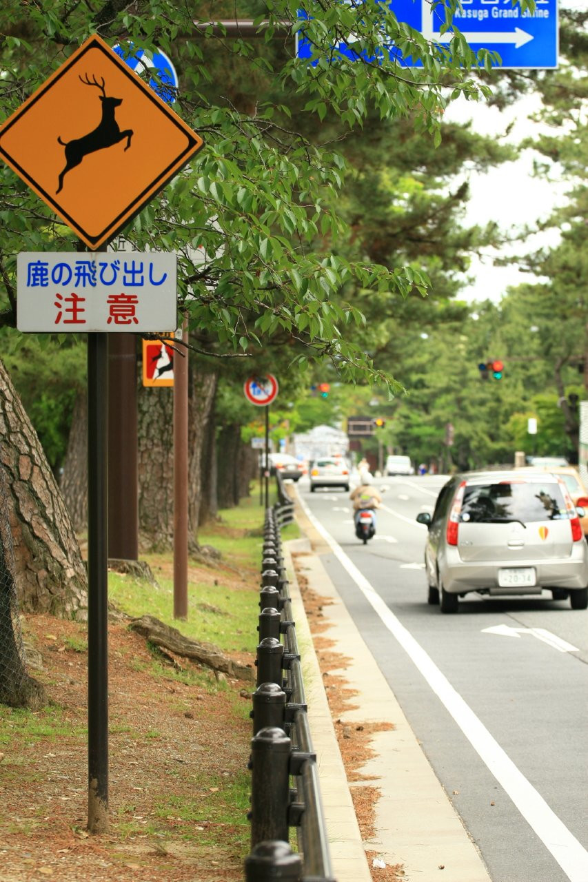 Nara – фотографии Японии
