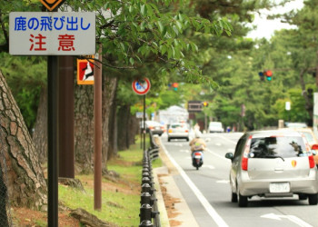 Nara – фотографии Японии