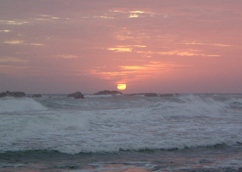 Хиккадува, Шри-Ланка, фото № 52516 – фотографии Шри-Ланки