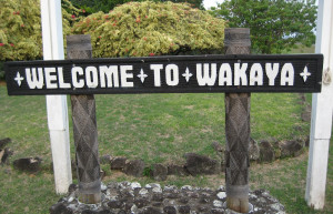 Вакайя остров, Ломаивити группа островов, Фиджи, фото № 48673 – фотографии Фиджи