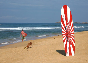 Хиккадува, Шри-Ланка, фото № 52527 – фотографии Шри-Ланки