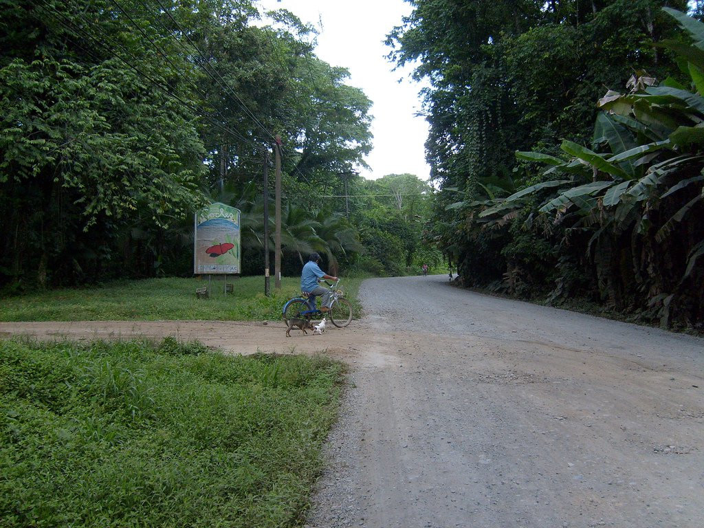 Плайя Чикуита, Лимон провинция, Коста-Рика, фото № 40155 – фотографии Коста-Рики