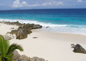 Пляж на острове Фрегат, Сейшелы. Фото 7 – фотографии Сейшельских островов