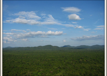 Сигирия, Шри-Ланка, фото № 52302 – фотографии Шри-Ланки