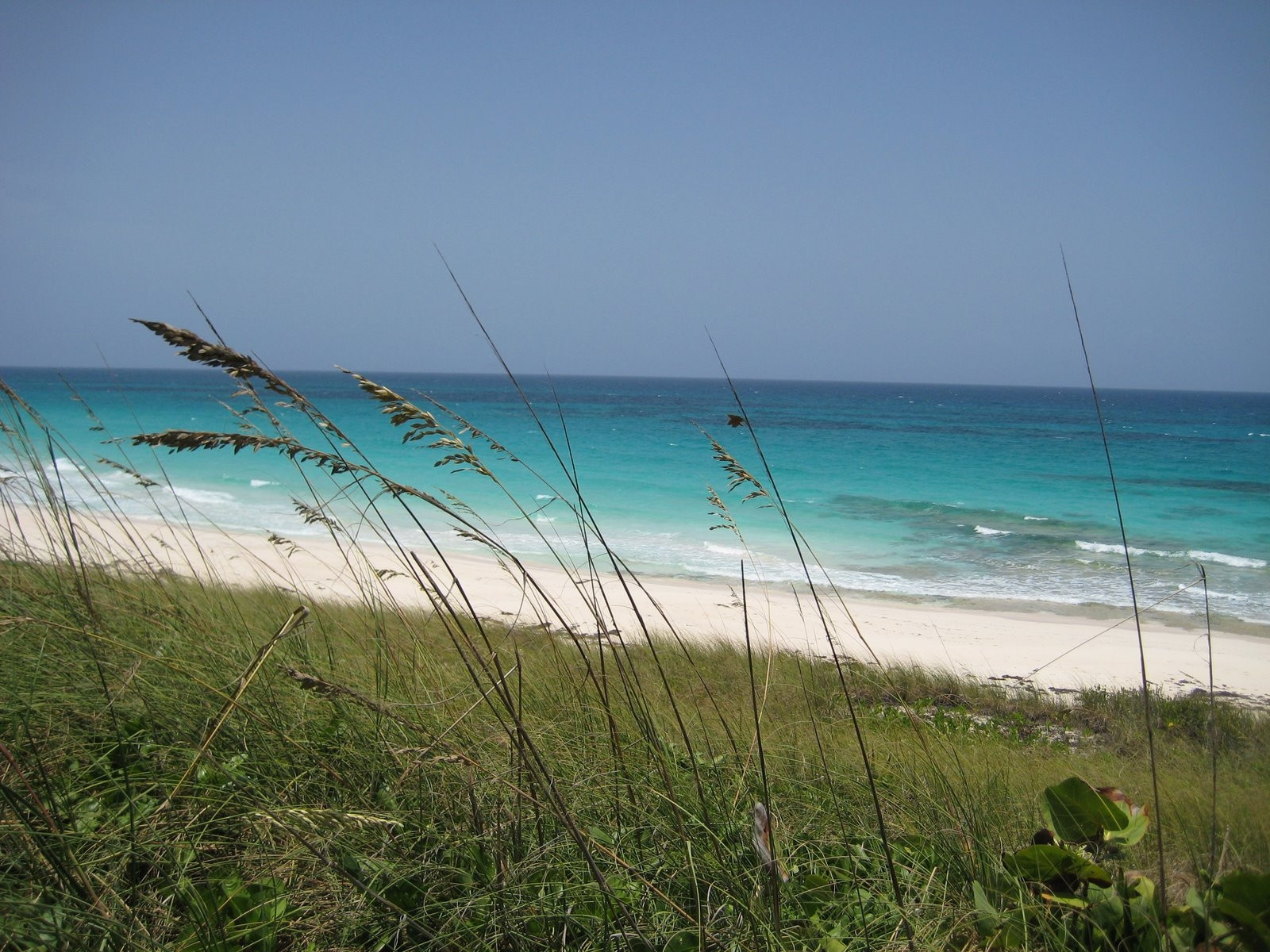 Берега на острове Эксума, Багамские острова. Фото 4 – фотографии Багамских островов