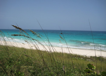 Берега на острове Эксума, Багамские острова. Фото 4 – фотографии Багамских островов