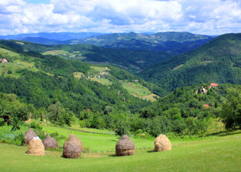 Природа Сербии – фотографии Сербии