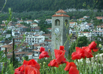 Цветы в Ульцинь, Черногория – фотографии Черногории