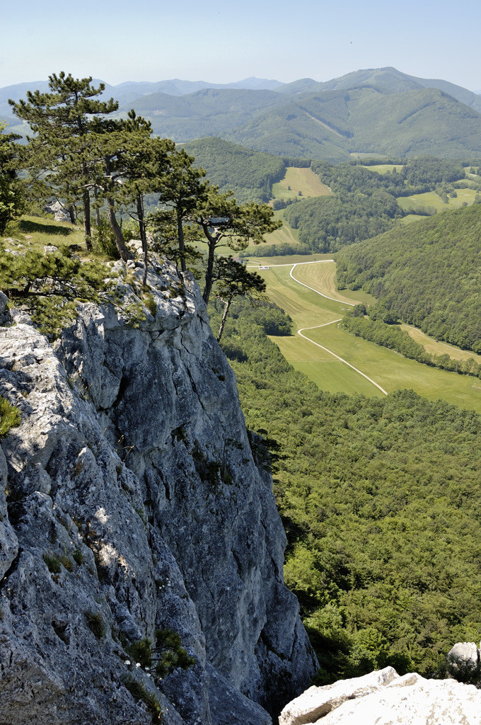 Венский лес (Wienerwald) — отрог Восточных Альп – фотографии Австрии