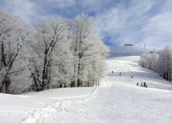 Бакуриани, Грузия, фото № 73323 – фотографии Грузии