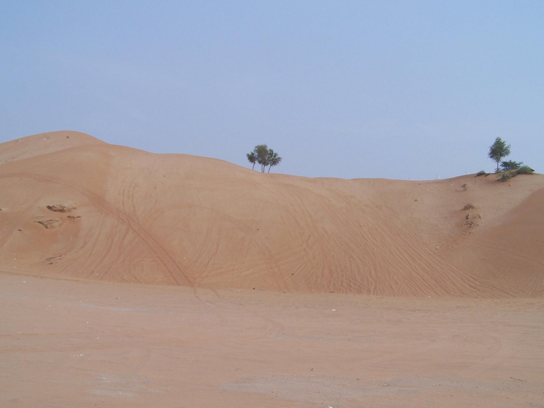Рас-аль-Хайма, ОАЭ, фото № 61087 – фотографии ОАЭ