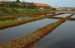 Нуармутье, Франция – фотографии Франции