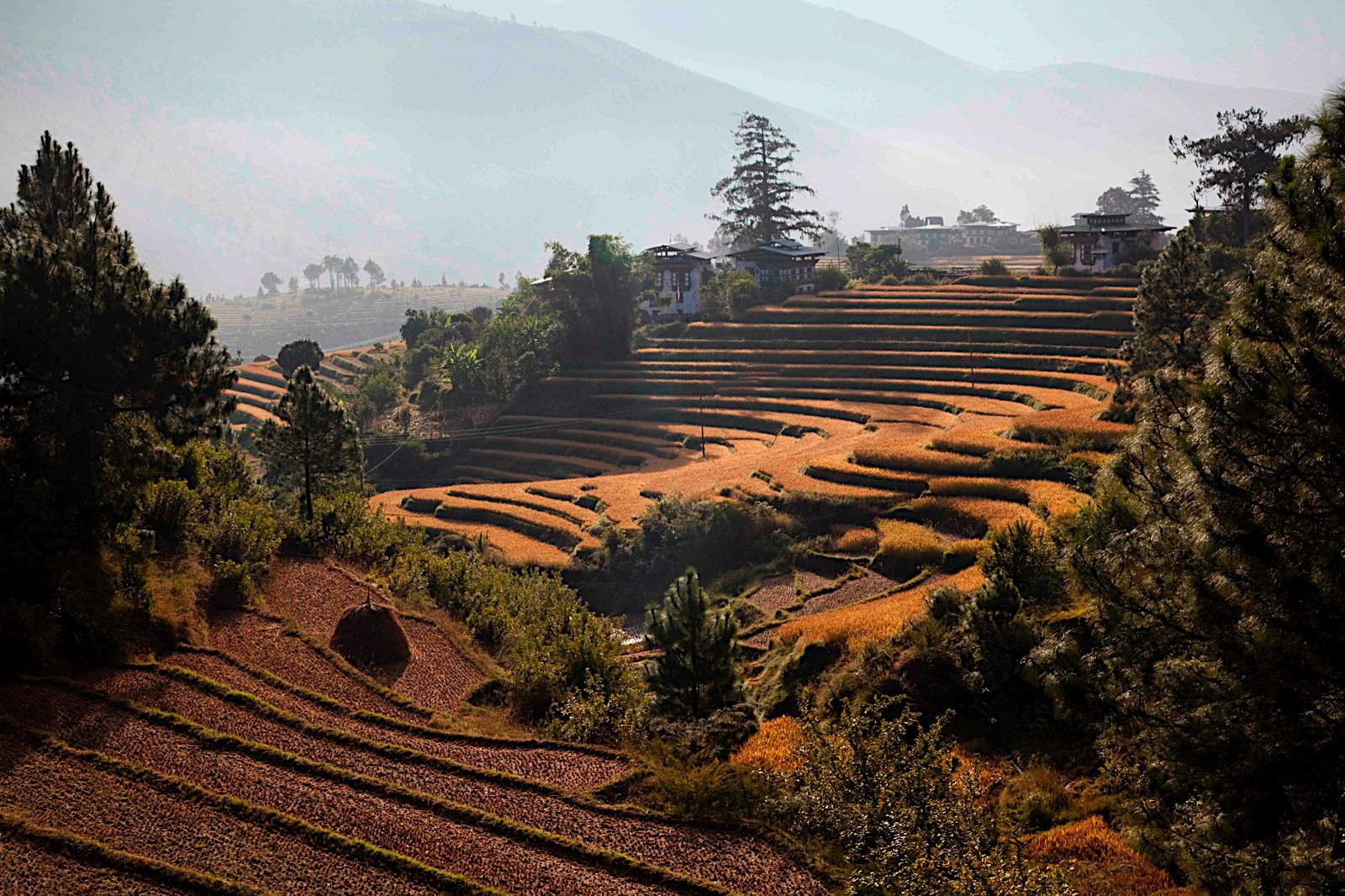 Бутан, фото № 4731 – фотографии Бутана