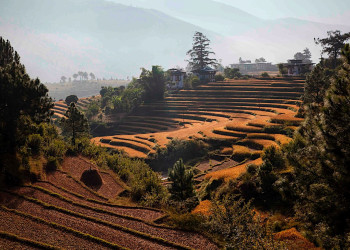 Бутан, фото № 4731 – фотографии Бутана