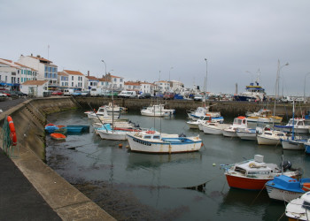 Яхты и катера в Иль-Дье, Франция. Фото 1 – фотографии Франции