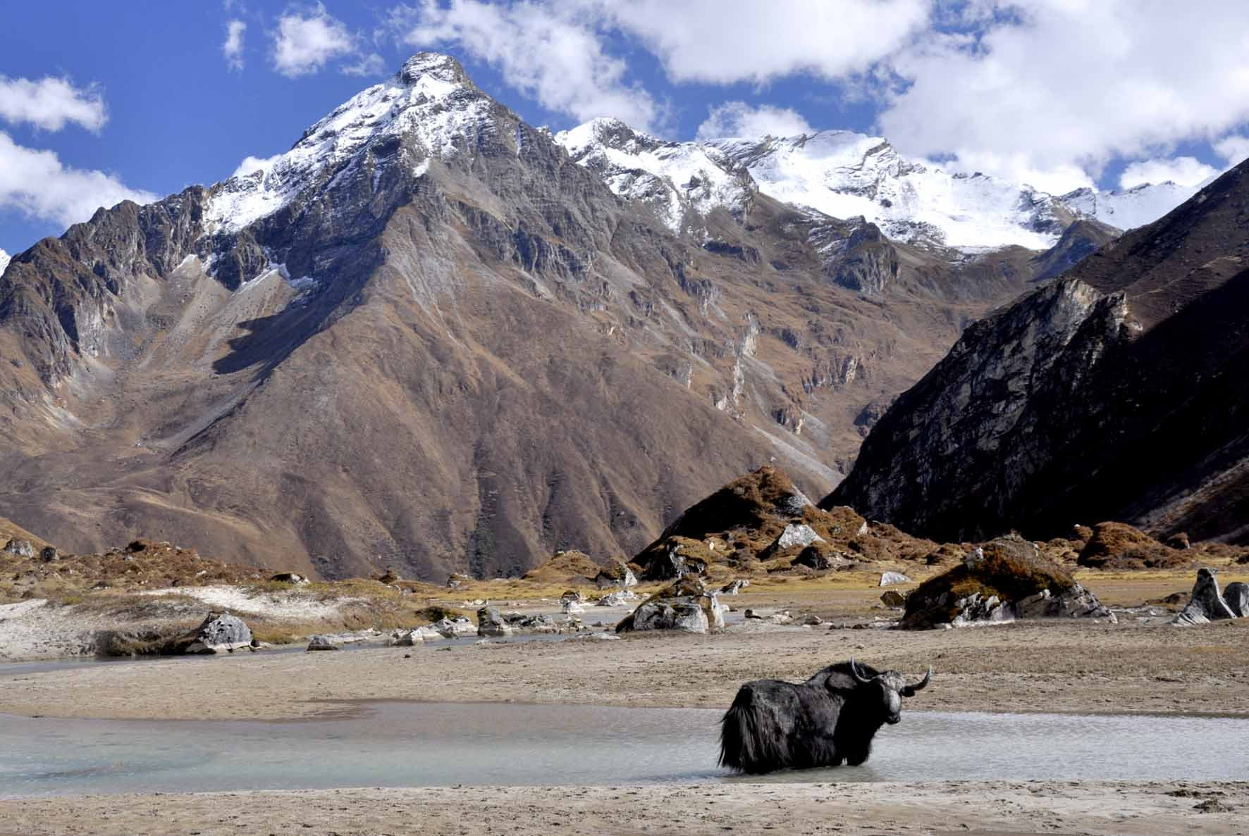 Бутан, фото № 4701 – фотографии Бутана