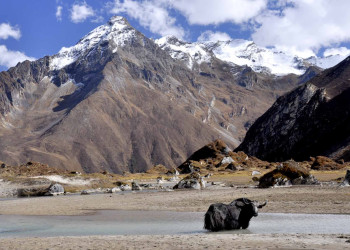Бутан, фото № 4701 – фотографии Бутана