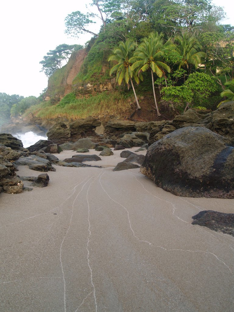 Тамбор, Пунтаренас провинция, Коста-Рика, фото № 41116 – фотографии Коста-Рики