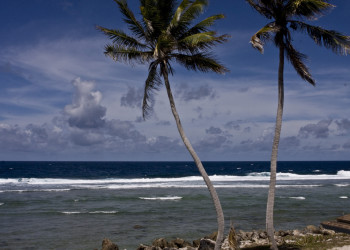 Побережье острова Науру. Фото 2 – фотографии Науру