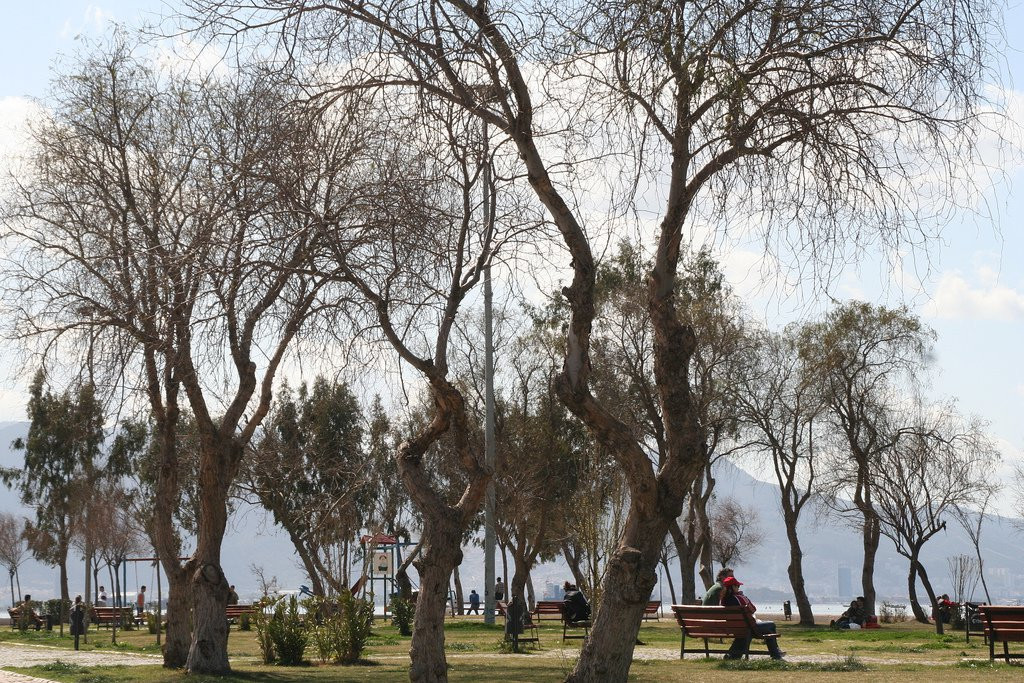 Измир, Эгейский регион, Турция, фото № 47774 – фотографии Турции