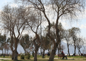 Измир, Эгейский регион, Турция, фото № 47774 – фотографии Турции