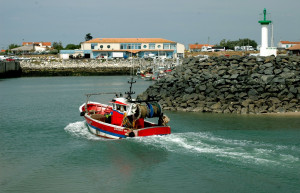 Остров Олерон, Франция. Фото 9 – фотографии Франции