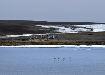 Земля Франца-Иосифа, Архангельская область России – фотографии России
