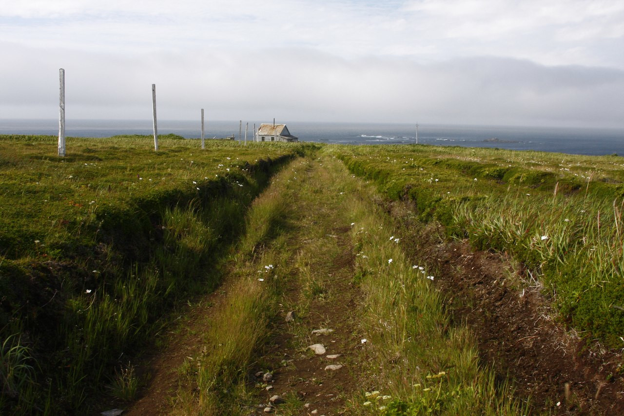 288455 – фотографии России