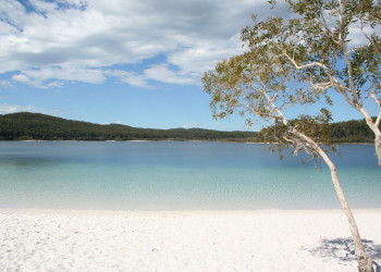 Пляж в Австралии. Фото 6 – фотографии Австралии
