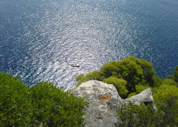 Море на острове Колочеп, Хорватия. Фото 3 – фотографии Хорватии