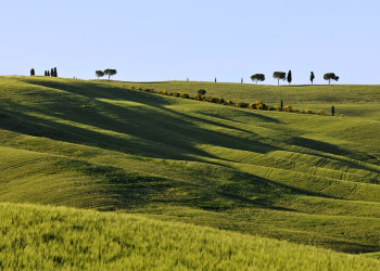 Тоскана, Италия, фото № 77945 – фотографии Италии