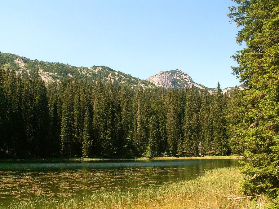 Дурмитор Национальный Парк, Черногория, фото № 53480 – фотографии Черногории