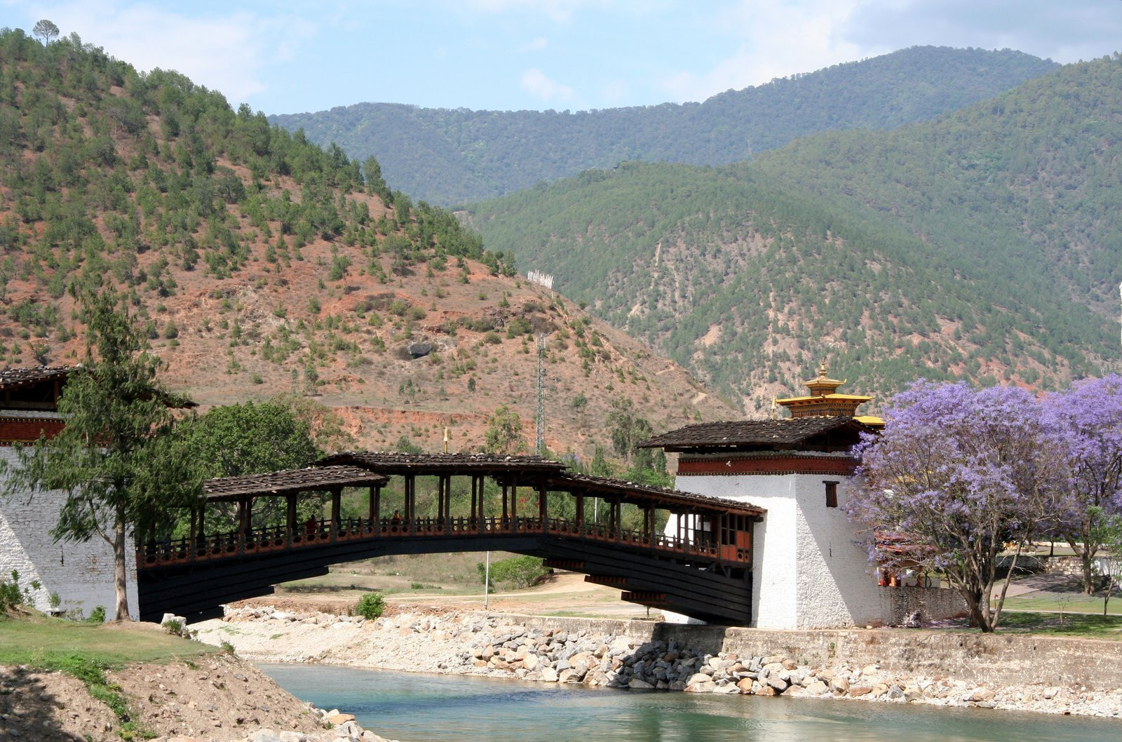 Пунакха, Бутан, фото № 75797 – фотографии Бутана