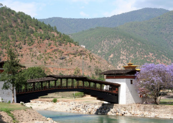 Пунакха, Бутан, фото № 75797 – фотографии Бутана