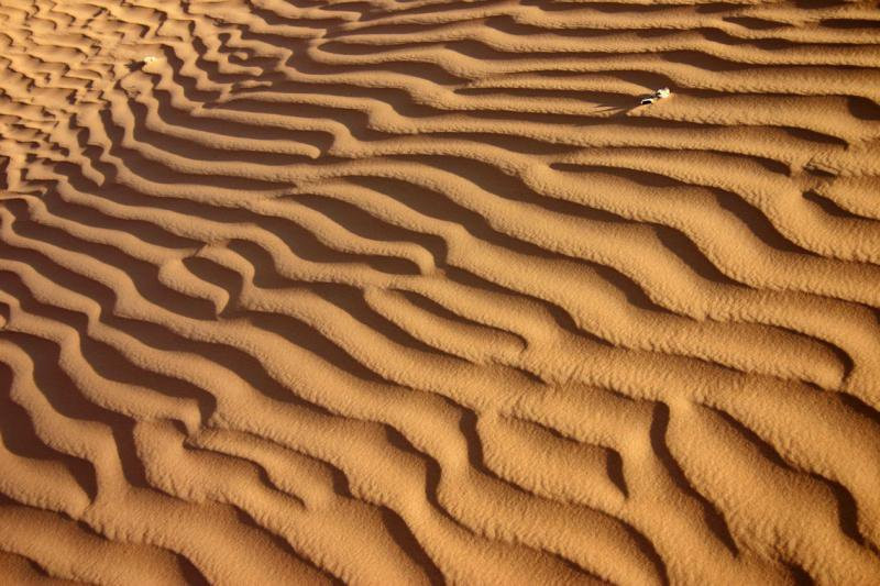Дубай, ОАЭ, фото № 60824 – фотографии ОАЭ