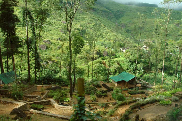 Нувара Элия, Шри-Ланка, фото № 52034 – фотографии Шри-Ланки