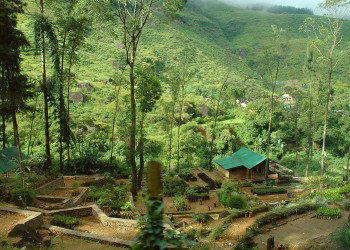 Нувара Элия, Шри-Ланка, фото № 52034 – фотографии Шри-Ланки